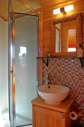 a bathroom with a sink and a shower with a mirror at B&B La Terre Brûlée in Aigues-Mortes