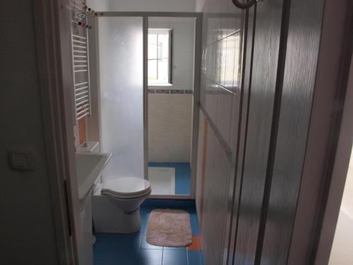 a small bathroom with a toilet and a sink at House Vodice in Vodice