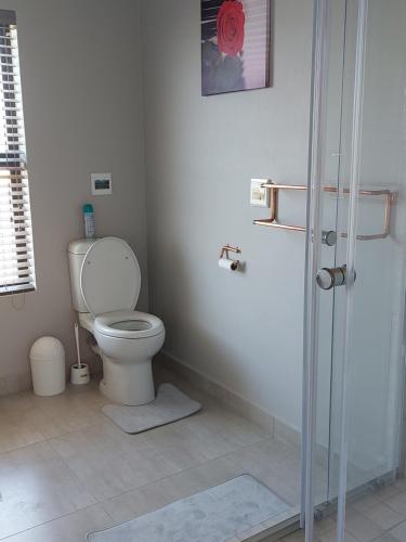 y baño con aseo y cabina de ducha. en Silver Oaks Airbnb, en Langebaan