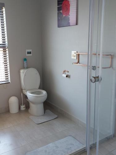 a bathroom with a toilet and a shower stall at Silver Oaks Airbnb in Langebaan