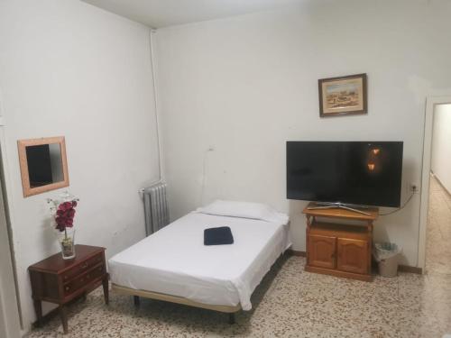 a bedroom with a bed and a flat screen tv at Hostal Ruano in Madrid