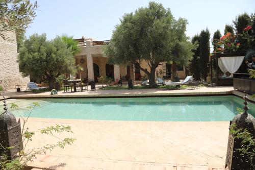 a swimming pool in front of a house with trees at Jolies chambres d'hôte au Riad Dharma in Essaouira