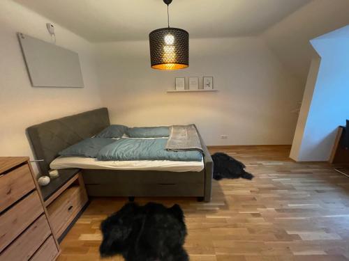 LevelUp 2 Living Graz m. SelfCheckIn في غراتس: كلب يستلقي على الأرض في غرفة مع سرير