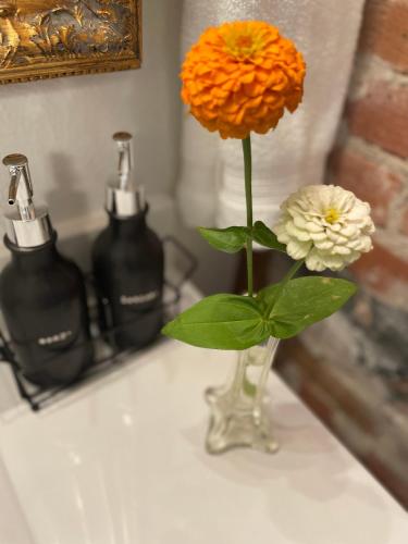 an orange and white flower in a vase on a sink at Flora House Denver in Denver
