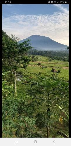 a view of a field with trees and a mountain at Villa Lumbung Ayu Sari & Spa in Karangasem