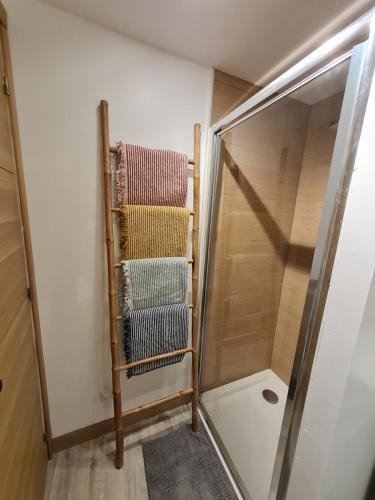 a towel rack in a bathroom with a shower at "les ecureuils"Logement indépendant climatisé in Veigné