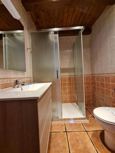 a bathroom with a shower and a sink and a toilet at Casas Rurales Los Enebros Nerpio in Nerpio