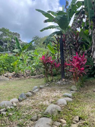Casa Molly – Photos 5