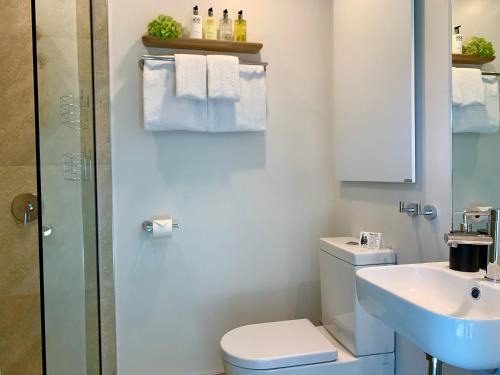 a bathroom with a toilet and a sink and a shower at Kaiteriteri Ridge Holiday Estate in Kaiteriteri