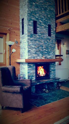 Гостиная зона в Carpathian Log Home