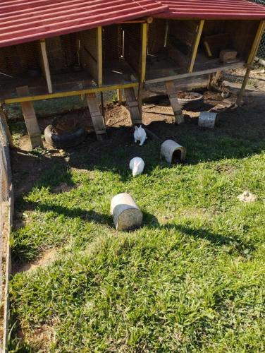 Κήπος έξω από το POUSADA PE NA TERRA EM GUARAREMA