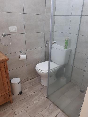uma casa de banho com um WC e uma cabina de duche em vidro. em La casita de boedo em Buenos Aires