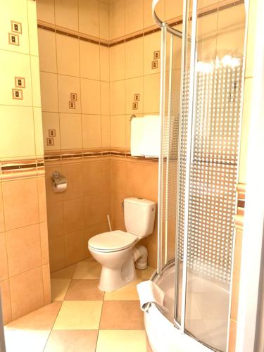 a bathroom with a toilet and a shower at Diament i Brylant in Rawicz