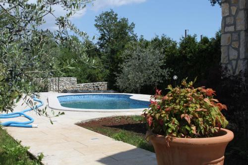 einen Pool in einem Garten mit Topfpflanze in der Unterkunft Holiday house with a swimming pool Krsan - Vlasici, Central Istria - Sredisnja Istra - 7686 in Kršan