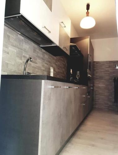 una cucina con lavandino e piano di lavoro di Appartamento Galvani a Pordenone