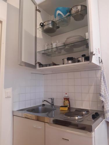 a kitchen with a sink and a counter top at Apartment Dahlia Vienna in Vienna