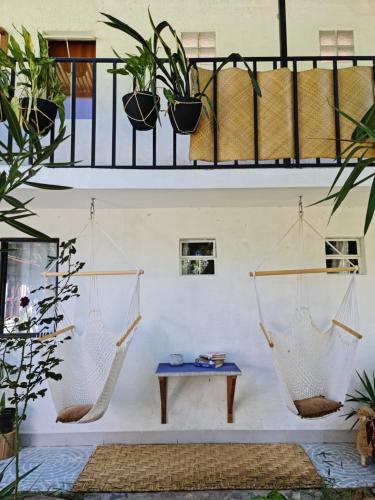 twee hangmatten hangend aan een muur met planten bij Casa Amaranto in Panajachel