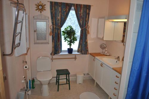 a bathroom with a toilet and a sink and a window at Orsastuguthyrning-Oljonsbyn in Orsa