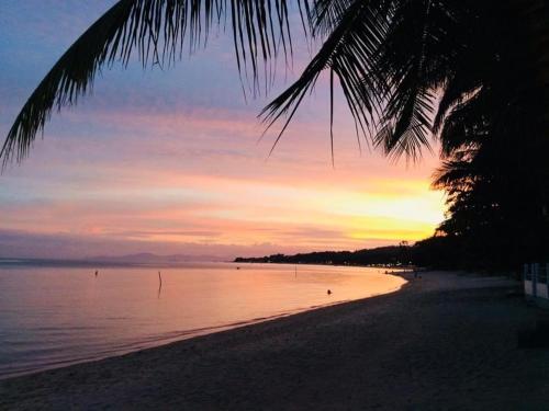 a sunset on a beach with a palm tree at Beer's House Bungalows เบียร์เฮ้าส์บังกะโล in Ban Lamai