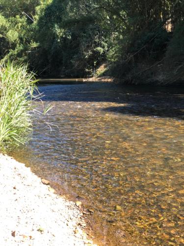 a body of water with rocks and trees and grass at Pousada Chalés do Rancho Canastra in Vargem Bonita
