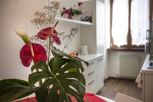 Kuchyň nebo kuchyňský kout v ubytování Le Servite Apartments