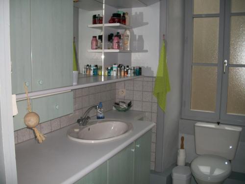 VouvantにあるB&B "Les Remparts"のバスルーム(洗面台、トイレ付)
