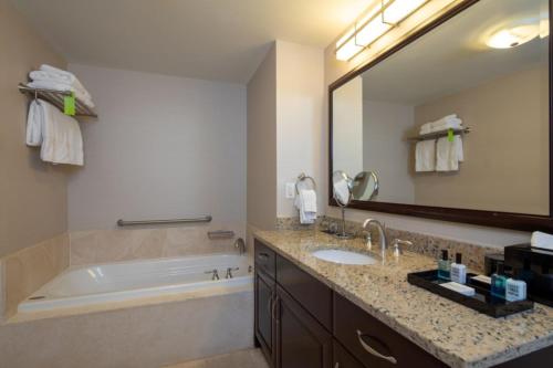 een badkamer met een bad, een wastafel en een spiegel bij One-Bedroom Apartment in Miami Beach