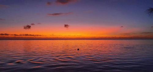 Fare Auti - halfway beach and mountain on Moorea في آبيتي: غروب الشمس على جزء من الماء مع بطه في الماء