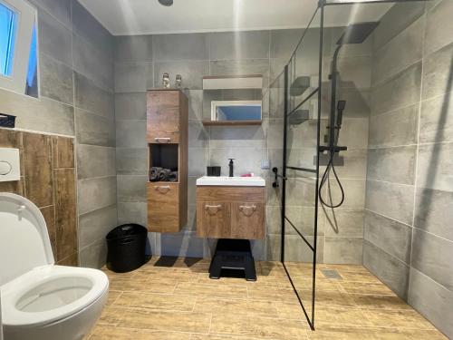 een badkamer met een toilet en een glazen douche bij Wiedenhuisje in Belt-Schutsloot