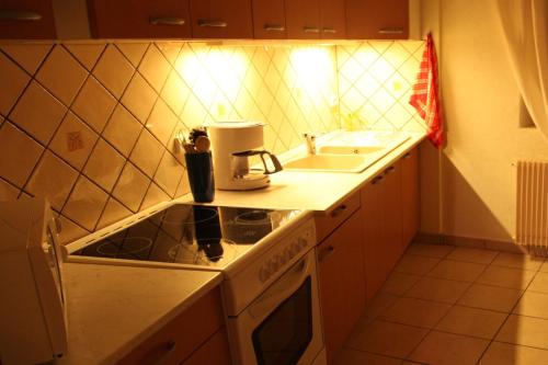uma pequena cozinha com um fogão e um lavatório em La Grenouille em Turckheim
