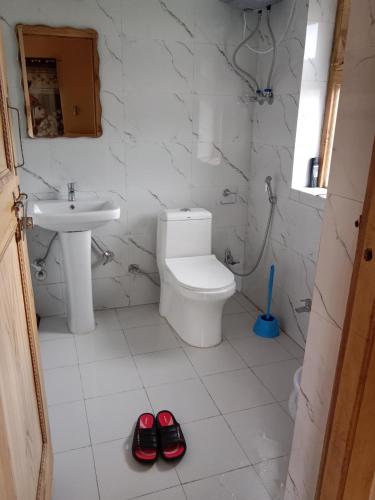 Koupelna v ubytování Shingkula guest house zanskar