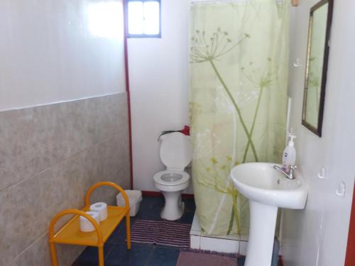 bagno con servizi igienici e lavandino di Cabañas y Hostal Vai Hinaaro a Hanga Roa