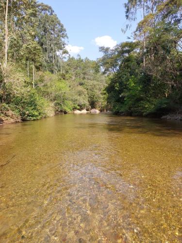 a river in the middle of a forest at Lumiar Eco Lodge - Chalé Pedra Riscada in Nova Friburgo