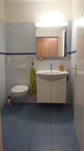 a bathroom with a sink and a toilet at Privatzimmer 300m zur S-Bahn in Rapperswil-Jona