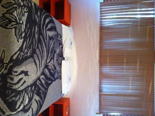 a zebra picture on a wall next to a window at Hotel Centro Diana in Mexico City