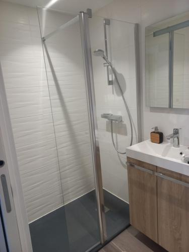 La salle de bains est pourvue d'une douche et d'un lavabo. dans l'établissement LA CASA logement indépendant 26m2 Calme Proche de tout WIFI fibre Parking privé Jardin terrasse, à Urrugne