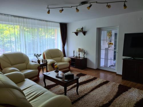 sala de estar con sofá, sillas y TV en CASA ALEX, en Sărata-Monteoru