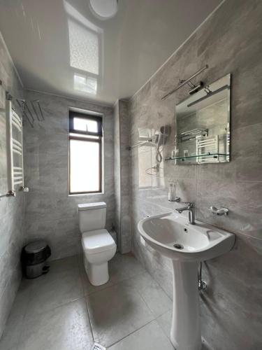 La salle de bains est pourvue d'un lavabo, de toilettes et d'un miroir. dans l'établissement Lileo Inn Hotel, à Mestia
