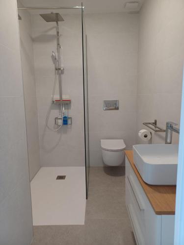 a bathroom with a shower and a toilet and a sink at Los Balcones in Salobreña