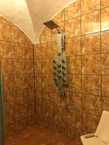 um chuveiro na casa de banho com uma parede em azulejos castanhos em Ferienwohnung Sunshine vom Friesenhof Wieratal 
