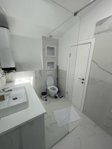 a white bathroom with a toilet and a sink at Lungomare Apartments in Petrovac na Moru