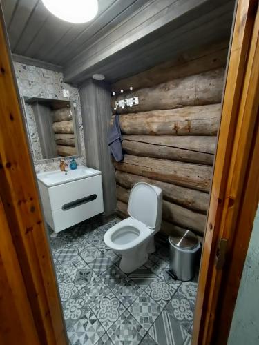 a bathroom with a toilet and a wooden wall at Villa Lilja in Muurame