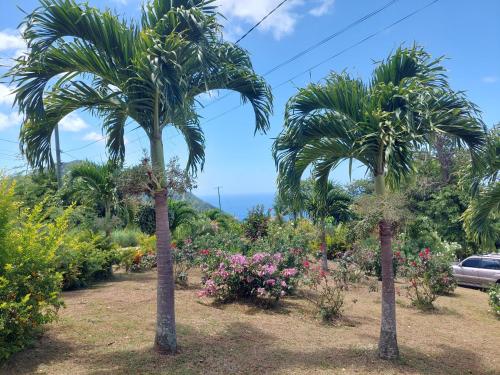 two palm trees in a garden with flowers at Diamond View Cottages in Roseau