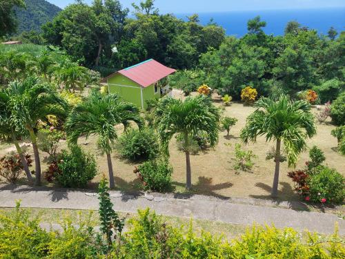 a garden with palm trees and a small green house at Diamond View Cottages in Roseau