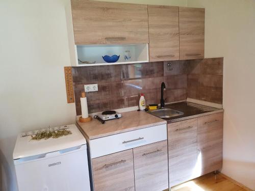 a small kitchen with wooden cabinets and a sink at Pan Koran Vikendica Pale, Jahorina in Pale