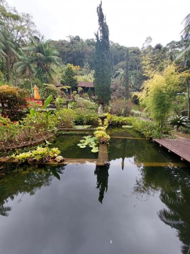 a garden with a pond with lilies in it at Lumiar Eco Lodge - Chalé Telhado Verde in Nova Friburgo