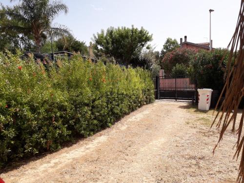 a dirt road next to a garden with bushes at Villa delle Gazanie -Camera in villa -Vista panoramica sul Golfo in Quartu SantʼElena