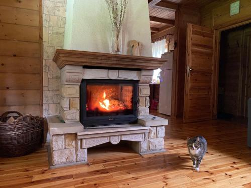 eine Katze, die in einem Wohnzimmer mit Kamin wandelt in der Unterkunft Domek drewniany z kominkiem in Tomczyn