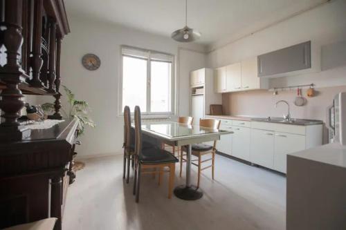 Kuchyň nebo kuchyňský kout v ubytování Apartman RetroVizor