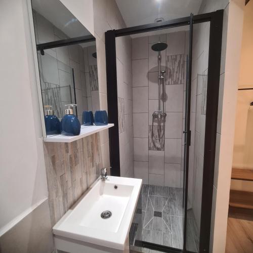 een badkamer met een wastafel en een douche bij Très joli appartement 2 pièces, centre-ville in Tuchan